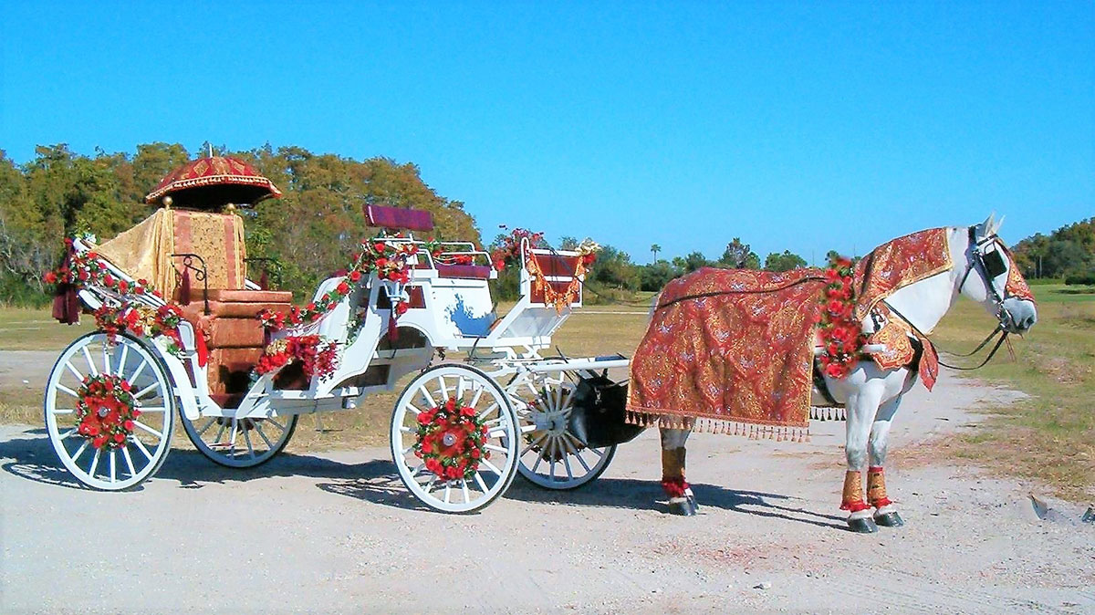 Indian Wedding Baraat Horse Costumes Horse Equine Costumes