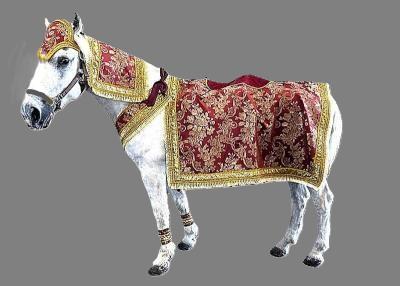 Burgundy & Gold- Summer Costume