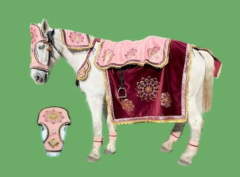 LIGHTLY USED for Photographs only.